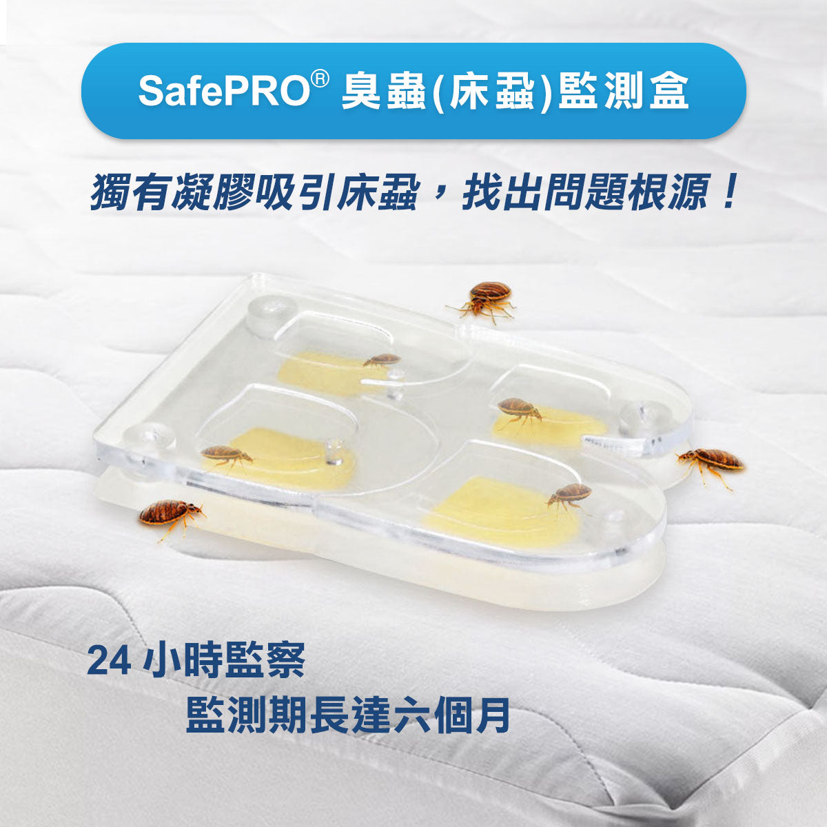 SafePRO® 臭蟲 (床蝨) 監測盒 (兩片裝)