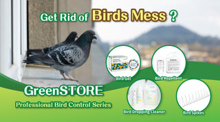 Get Rid of Birds Mess with GreenSTORE's Expert Bird Control Series!