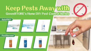 Keep Pests Away with GreenSTORE's Home DIY Pest Control Series