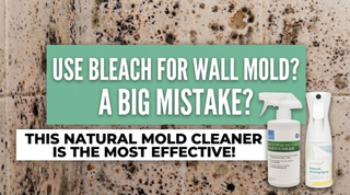 2026 Natural Mould Removal Guide : How to Choose the Right Cleaner