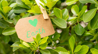 Say No to Plastic, Yes to Sustainability! Check out GreenSTORE's GreenEco Collection!