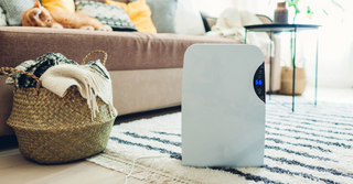 Keep Your Home And Clothes Dry