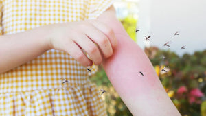Hundred Cases of Malaria! Best 5 Mosquito Killers for School Kids!