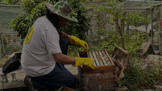 520 World Bee Day Support Local Bee Farm with Action