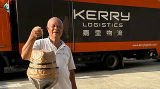 Our Honey Bee Rescue Mission - Unlocking Giant Beehives Found Inside Shipping Containers