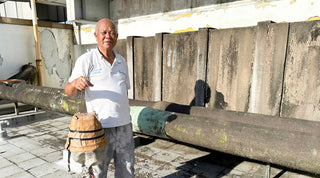 Wings of Hope - Our Honey Bee Rescue Mission