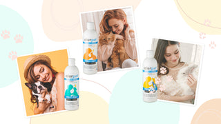 【Allerpet®Anti-allergy】Let's Be Even Closer With Your Pets!