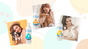 【Allerpet®Anti-allergy】Let's Be Even Closer With Your Pets!