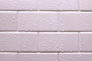 Prevent Pest Problems<br>During Humid Weather