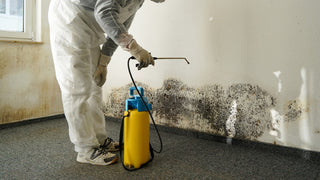 【Spring Humidity】Damp-proofing for Your Personal Space