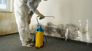 【Spring Humidity】Damp-proofing for Your Personal Space