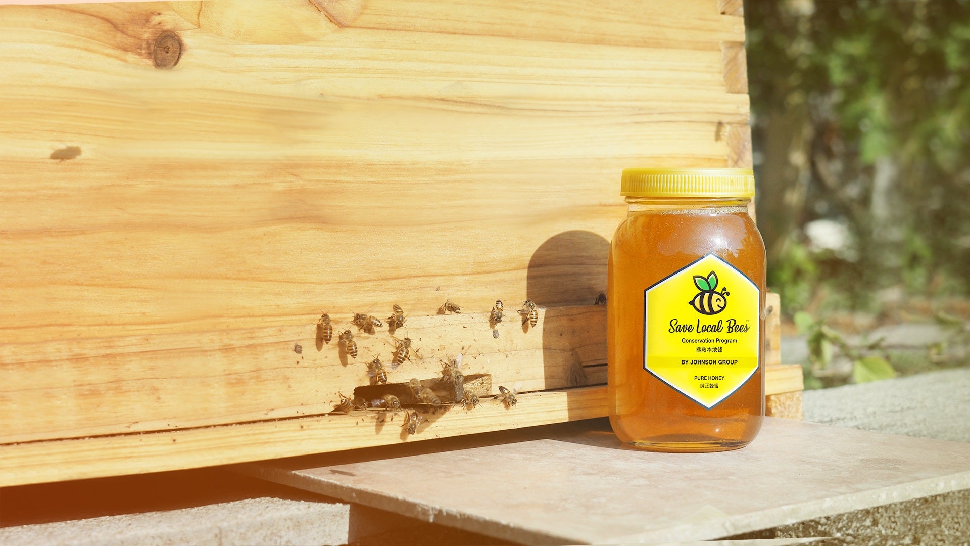 Save Local Bees™ Honey<br> Summer 20% Off Sale - 10 Days to Go!