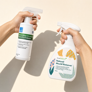 Mould Removal & Prevention