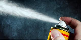 Aerosol Insect Spray