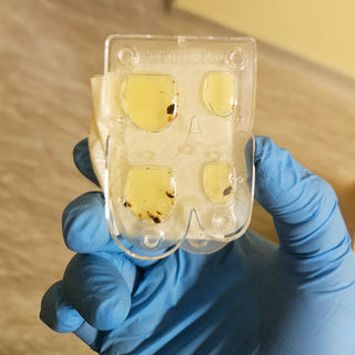 SafePRO® Bed Bug Alert Monitor (2 Pieces)