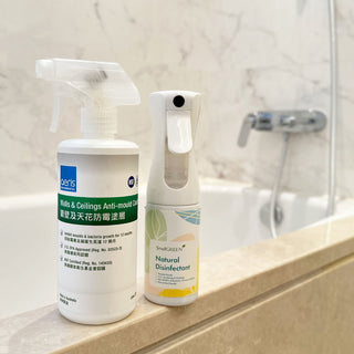 Mould Removal and Prevention Kit