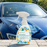 Car Cleaner