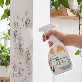 SmellGREEN® Natural Mould Remover 500ml | Plant-Based Formula | Non-Toxic Powerful Mould Stain Remover