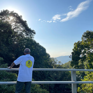 Support Save Local Bees Conservation Program