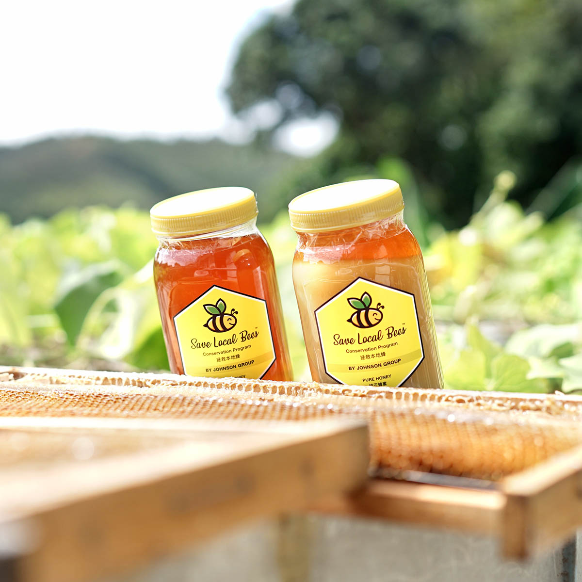 Support Save Local Bees Conservation Program – greenstore.hk