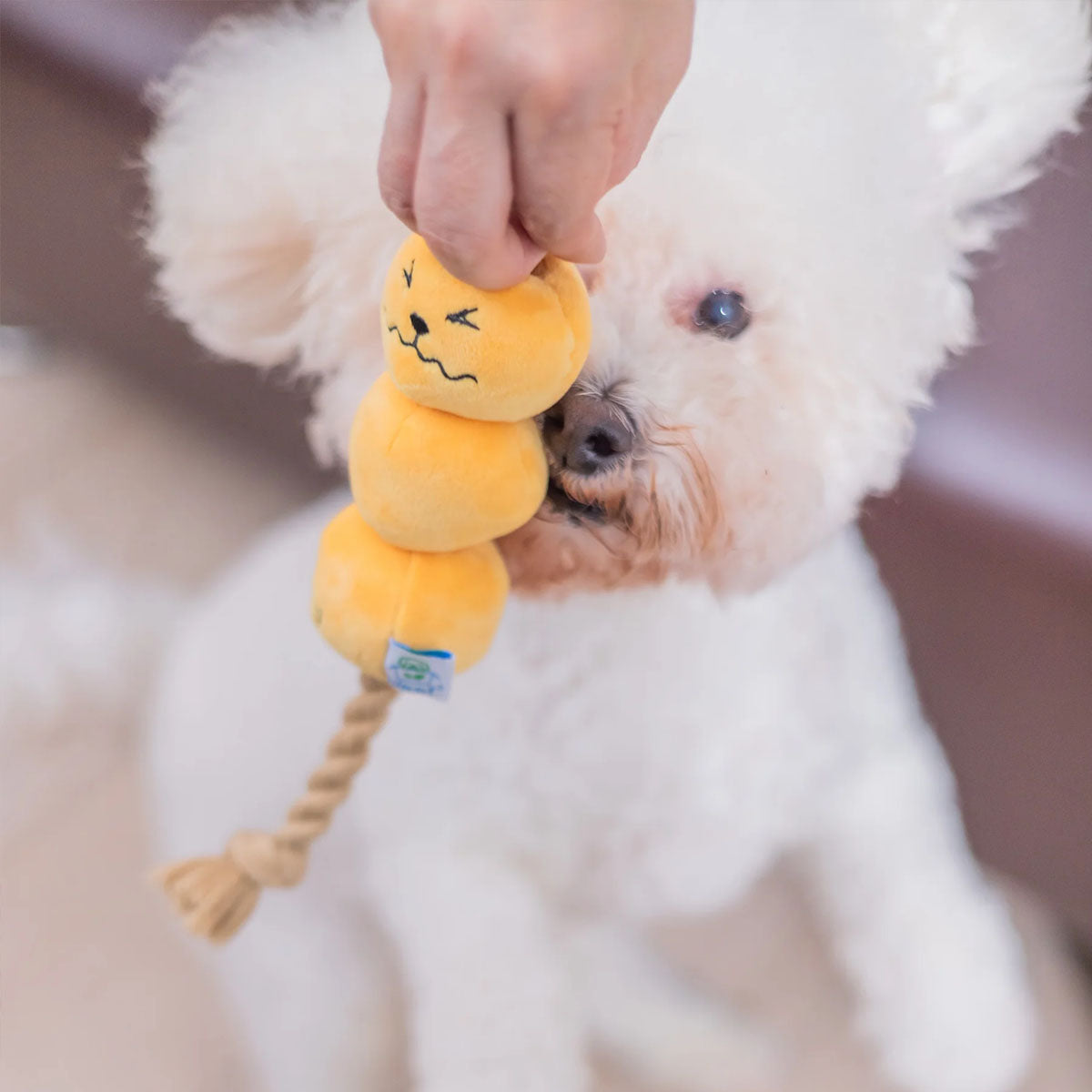 Woof² Curry Fishball Pet Toy