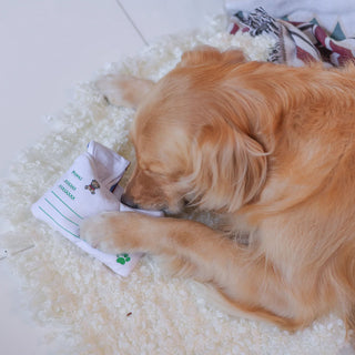 Woof² Hong Kong Airmail Nose-work Pet Toy