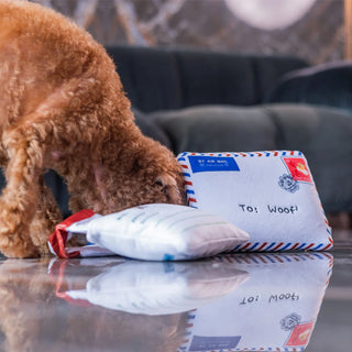 Woof² Hong Kong Airmail Nose-work Pet Toy