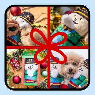 Woof² Nutcracker Treat-Dispensing Pet Toy