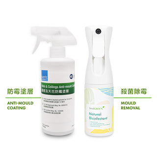 Mould Removal and Prevention Kit
