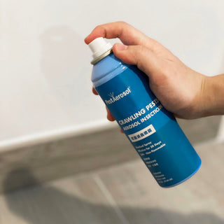 PestAerosol™ Crawling Pests Aerosol Insecticide