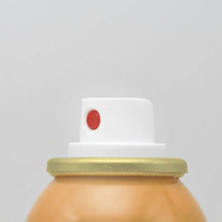 PestAerosol™ Flying Pests Aerosol Insecticide