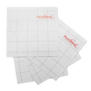 PestWest® Insect Glue Trap (S)