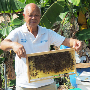 Save Local Bees 冬蜜（鴨腳木蜜）