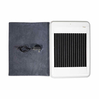 Shoe Sole Cleaning and Disinfecting Machine