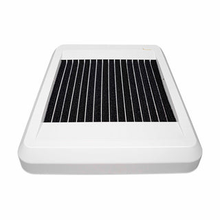 Shoe Sole Cleaning and Disinfecting Machine