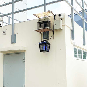 Starkeys® L25 Outdoor Lantern