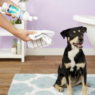 Allerpet® Dog Dander Remover