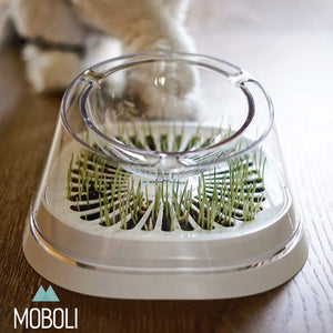 MOBOLI Secret Forest Cat Bowl with Cat Grass