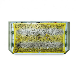 SafePRO® Insect Glue Trap 捕蚊蟲貼 (黏貼紙)