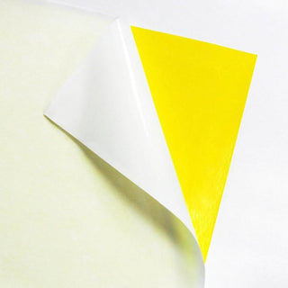 SafePRO® Insect Glue Trap 捕蚊蟲貼 (黏貼紙)