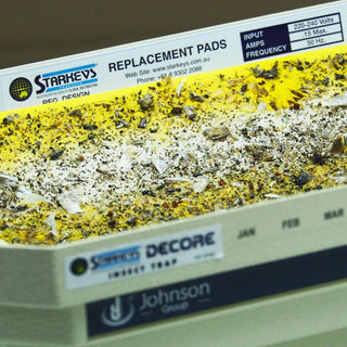 Starkeys® Decore Glue Pad Indoor Insect Killer, Mosquito Trap, Ultraviolet Black Light Tube 室內黏捕型滅蚊蠅燈，黑紫外光滅蚊燈