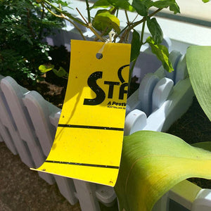 Starkeys® Insect Glue Trap (Sticky Pad) 捕蚊蟲貼 (黏貼紙)