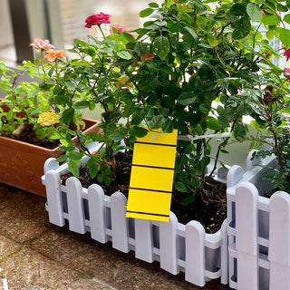 Starkeys® Insect Glue Trap (Sticky Pad) 捕蚊蟲貼 (黏貼紙)