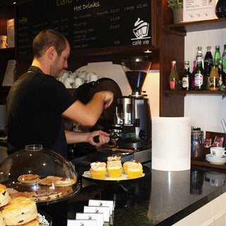 PestWest® SUNBURST Glue Board Insect Killer 黑紫外光黏捕型滅蚊燈